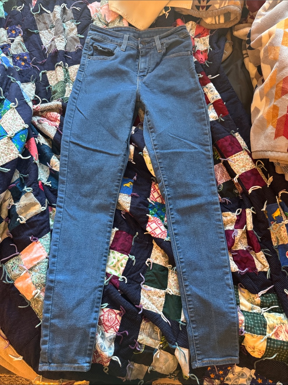 Levi's Slim Indigo Skinny Jeans